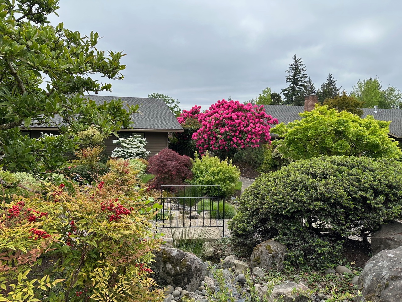 garden 1